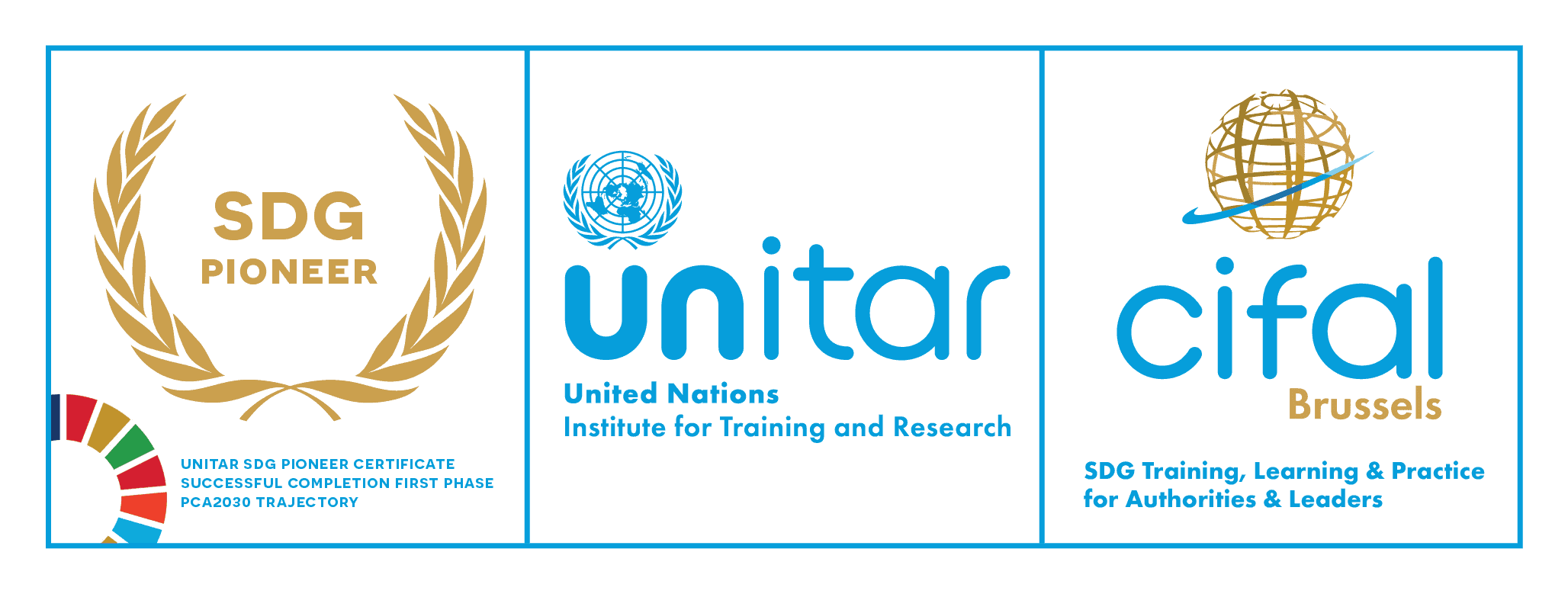CIFAL Brussels SDG Pioneer