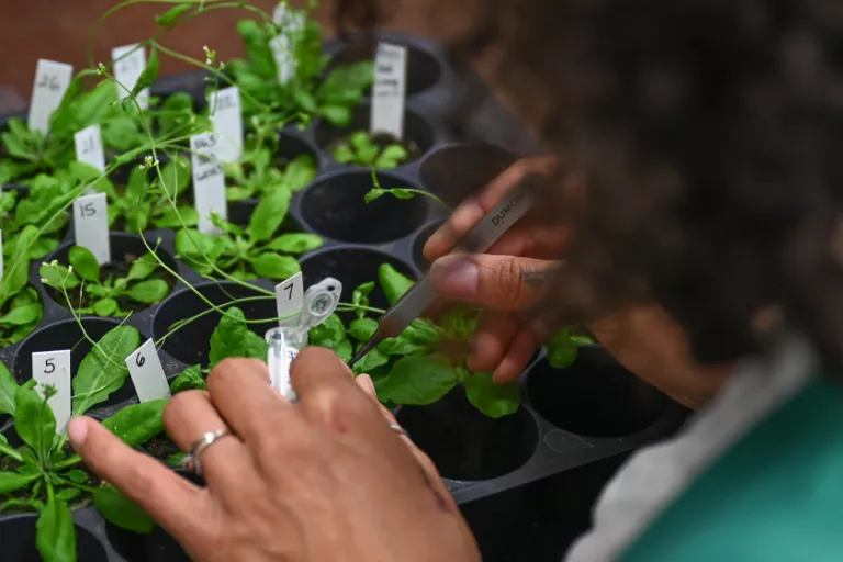 Net-Zero Transition Plan Adopted